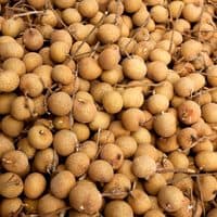 Biểu tượng OCOP