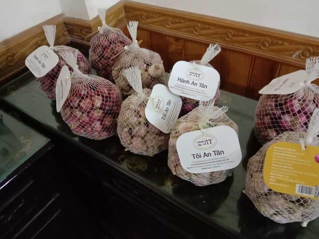 Hành, tỏi An Tân