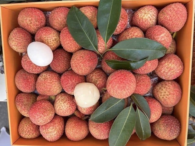 Vải trứng Trung Đông